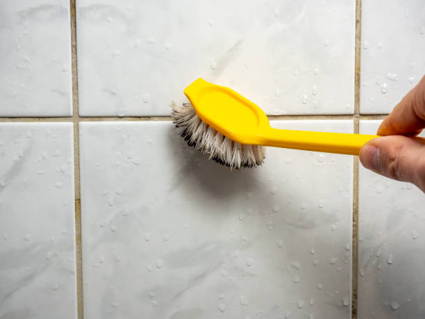 Best Same-Day Mold Removal  in Johnson, AR