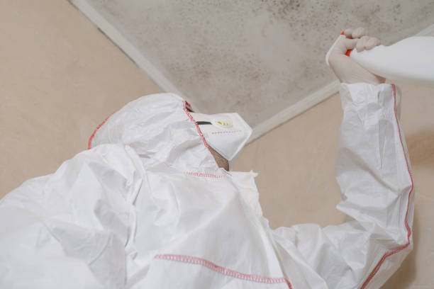 Best Best Mold Removal Companies  in Johnson, AR